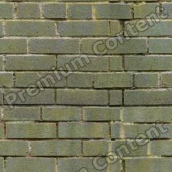 Seamless Textures of Wall Bricks + Normal & Bump Mapping 